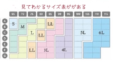 ジニエブラのサイズ表