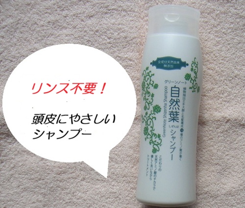 自然葉シャンプー