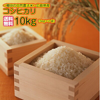 自然農法のお米
