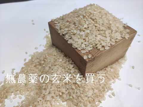 無農薬の玄米